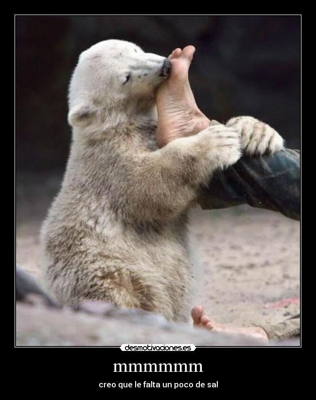 mmmmmm - creo que le falta un poco de sal