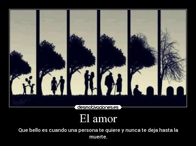 El amor -
