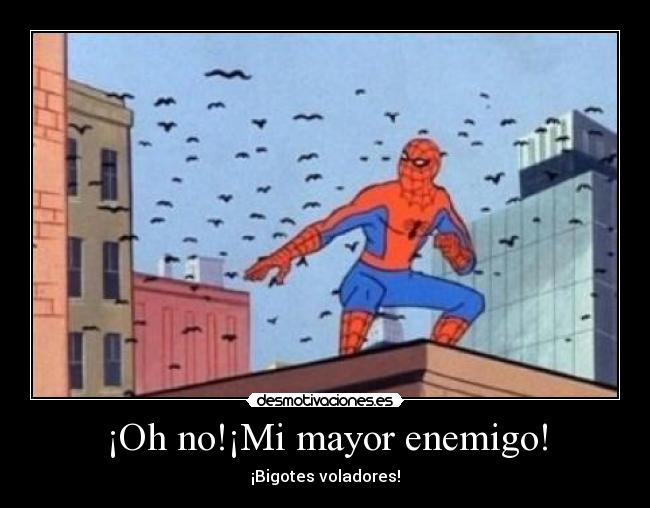 ¡Oh no!¡Mi mayor enemigo! - ¡Bigotes voladores!