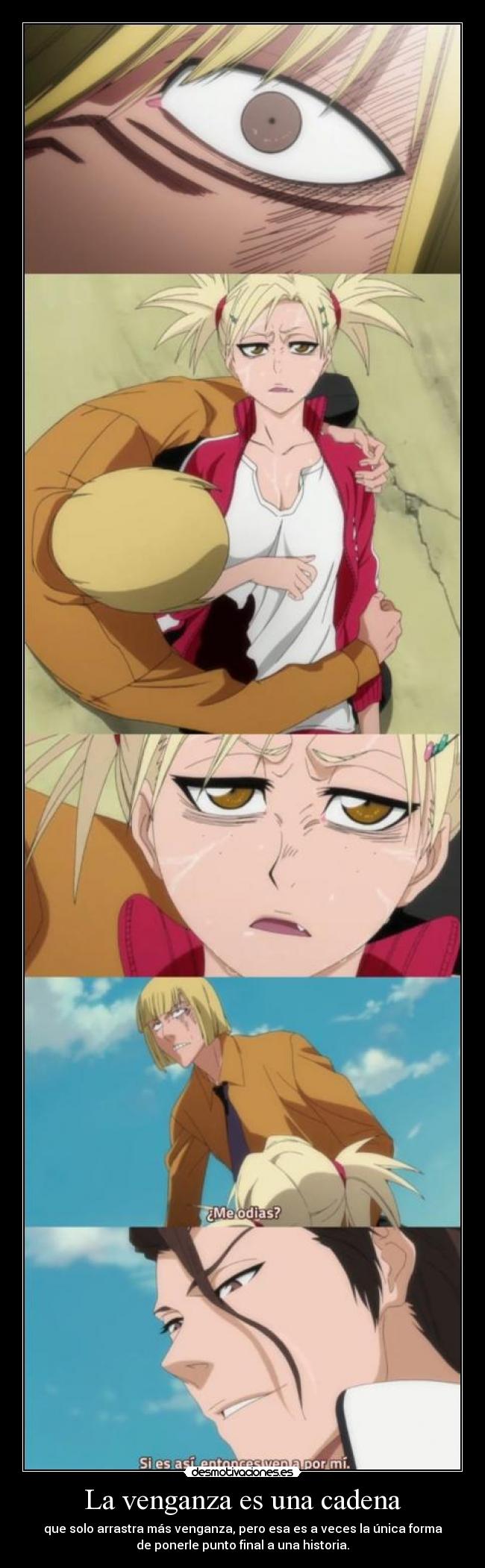 carteles raptorhunters nigatsu harukaze anime manga otaku bleach venganza aizen hirako shinji hiyori lucha desmotivaciones