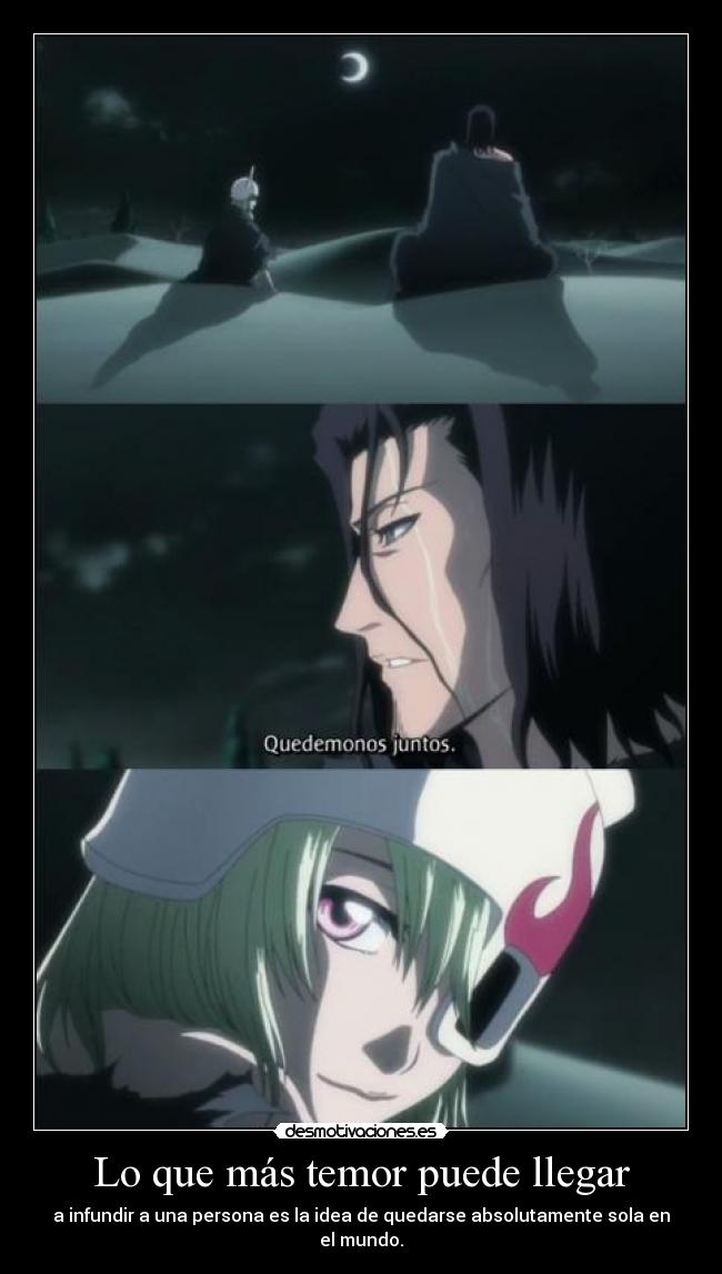 carteles raptorhunters nigatsu harukaze anime manga otaku bleach coyote starka lilynette soledad solos miedo desmotivaciones