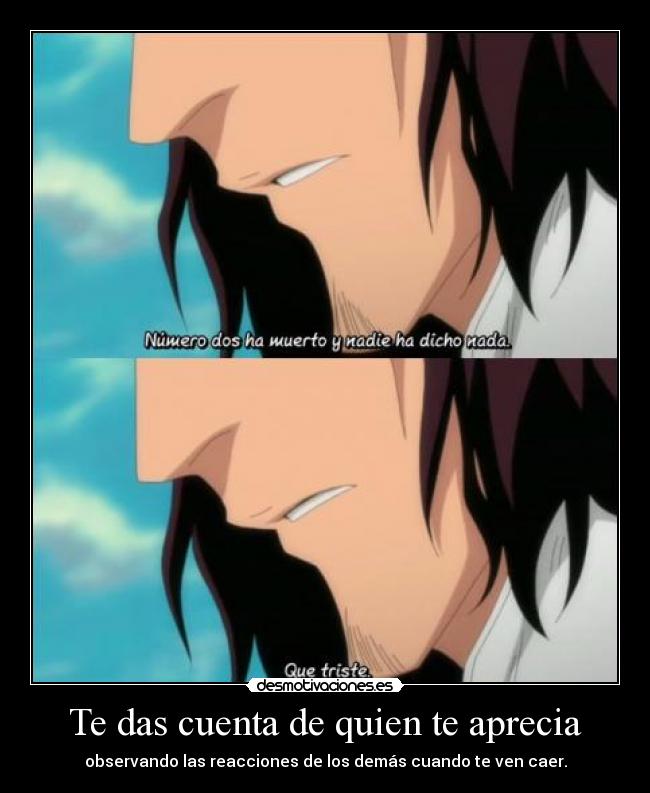 carteles raptorhunters nigatsu harukaze anime manga otaku bleach amistad stark coyote barragan muerte muere desmotivaciones