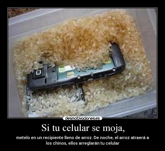 Si tu celular se moja, -