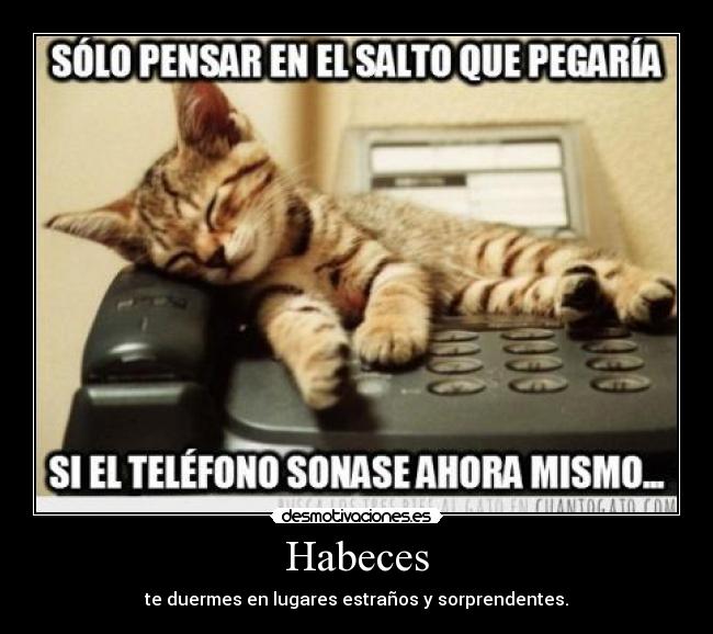 Habeces - te duermes en lugares estraños y sorprendentes.