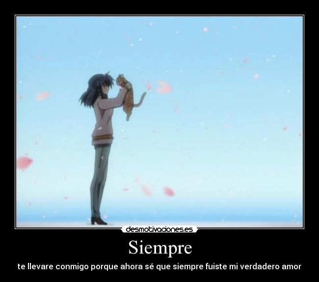 Siempre - 