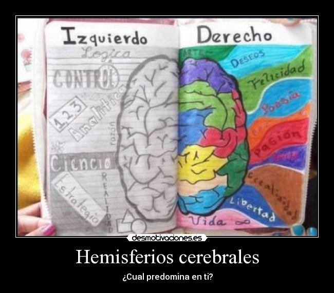 Hemisferios cerebrales - ¿Cual predomina en ti?