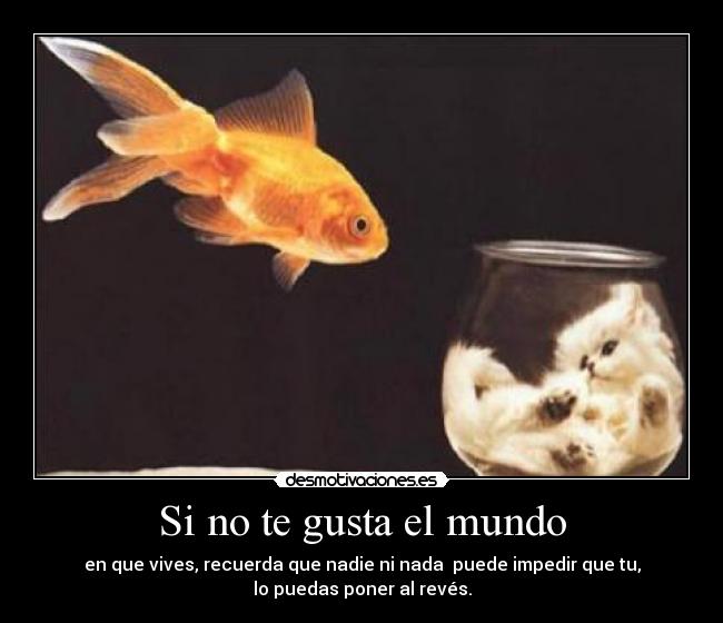 Si no te gusta el mundo - 