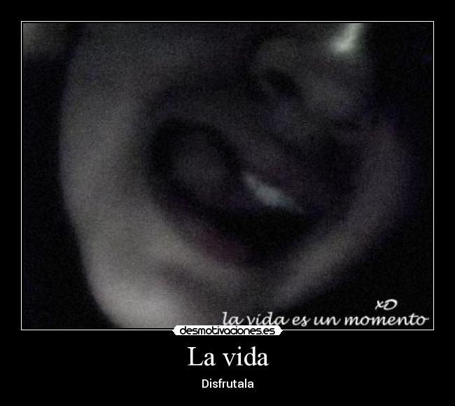 La vida - Disfrutala