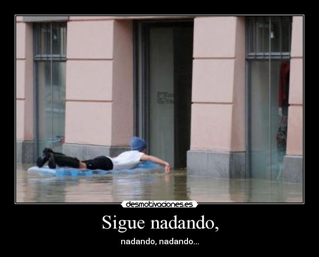 carteles tk73 unicorniosfelices desmofunny ver que tal devolvedme las mayusculas dangochan dori desmotivaciones