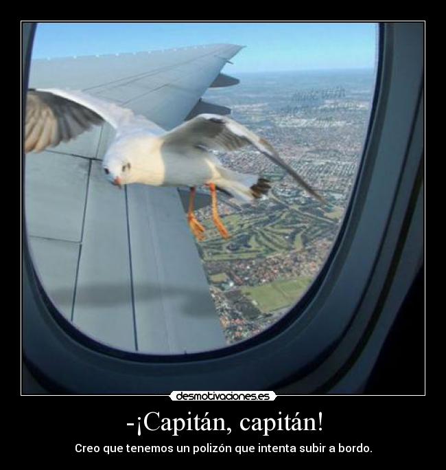 -¡Capitán, capitán! -
