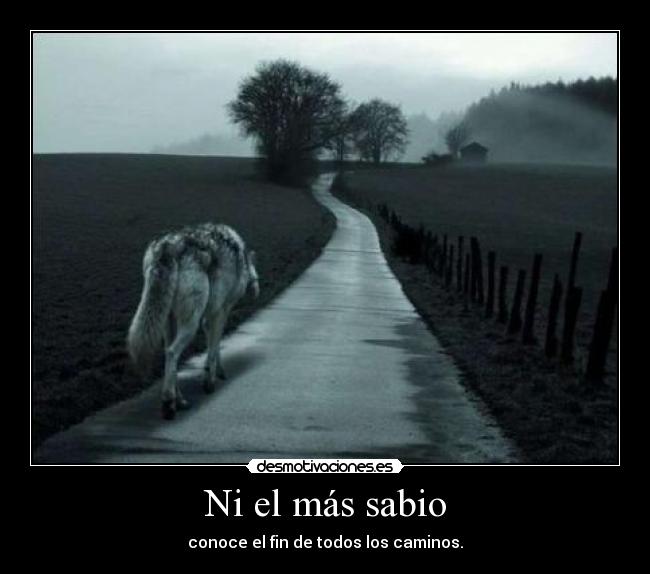 Ni el más sabio - conoce el fin de todos los caminos.