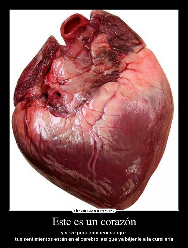 carteles corazon corazon borran cartel imagen subido antes anime tag266 shinigamisempai arukardo desmotivaciones