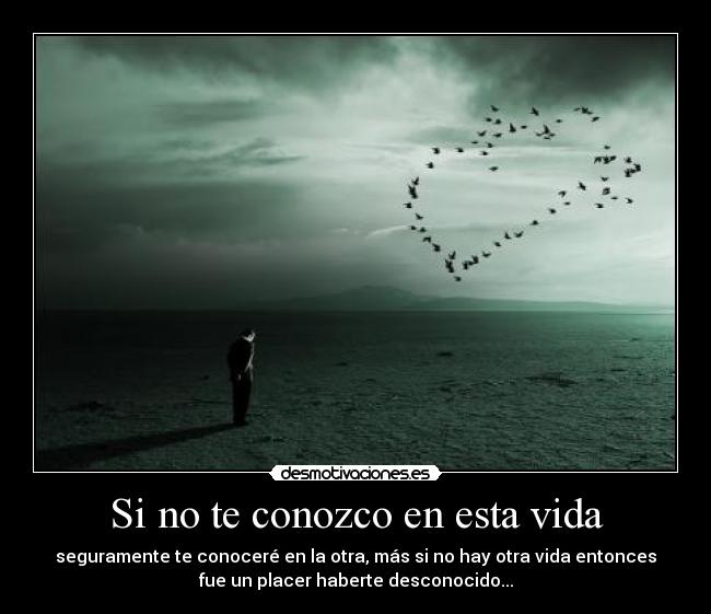 Si no te conozco en esta vida - 