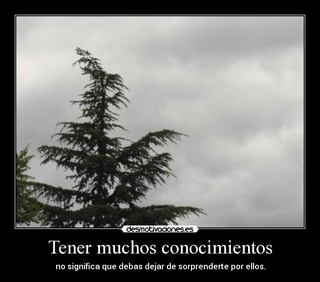 Tener muchos conocimientos - 