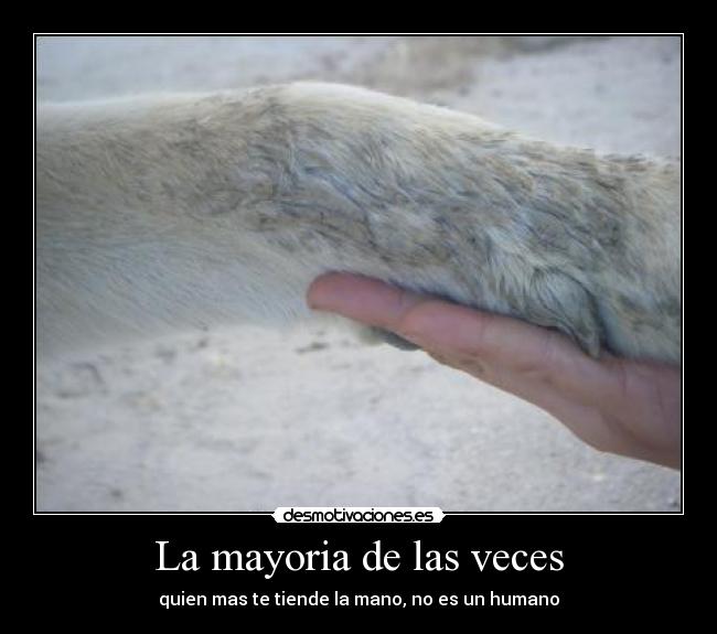 La mayoria de las veces - quien mas te tiende la mano, no es un humano