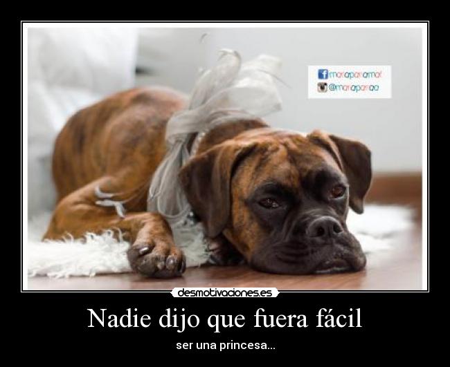 Nadie dijo que fuera fácil -