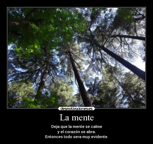 La mente - Deja que la mente se calme
y el corazón se abra.
Entonces todo sera muy evidente.