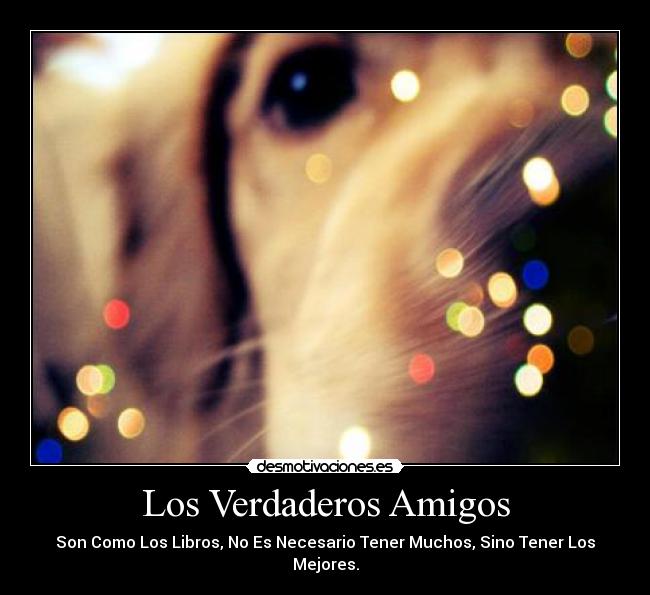 carteles amigos amistad desmotivaciones