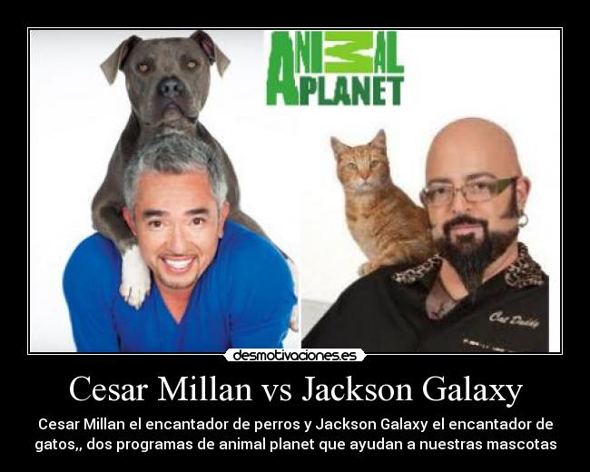 Cesar Millan vs Jackson Galaxy -