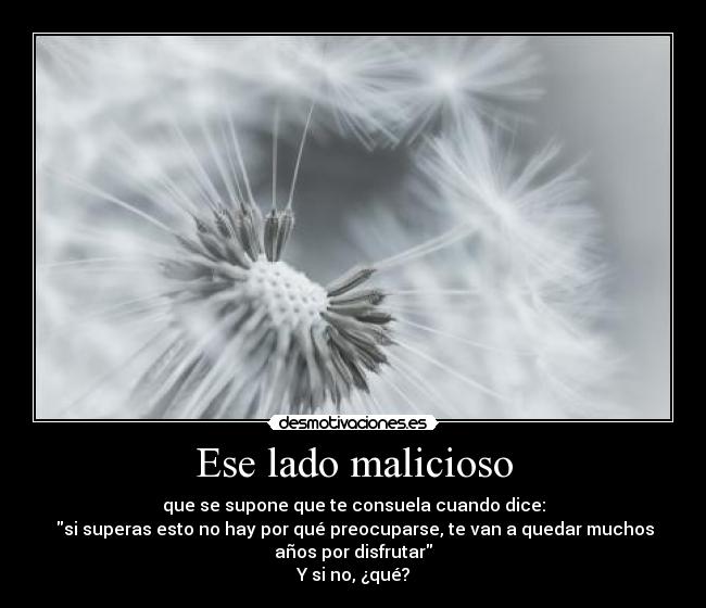 carteles hay que joderse desmotivaciones