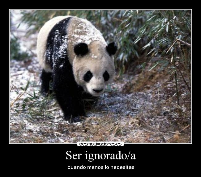 Ser ignorado/a - cuando menos lo necesitas