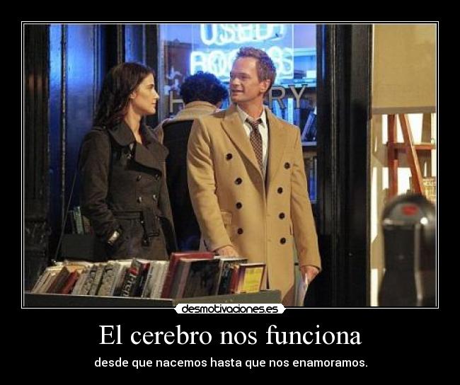 El cerebro nos funciona - desde que nacemos hasta que nos enamoramos.