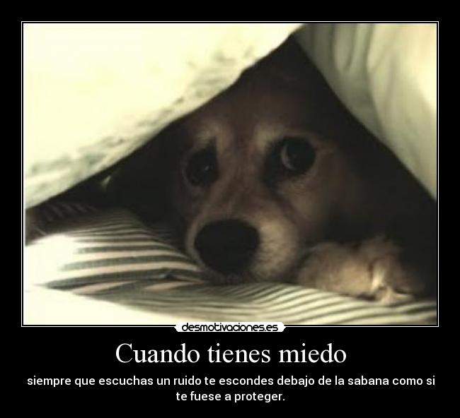 Cuando tienes miedo - 