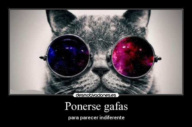 carteles gafas indiferente lolsomething gato desmotivaciones