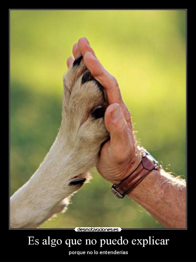 Es algo que no puedo explicar - porque no lo entenderías