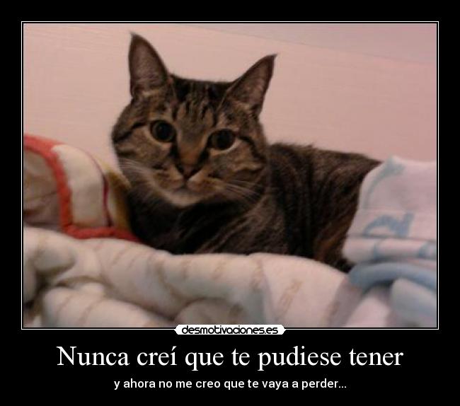 Nunca creí que te pudiese tener - y ahora no me creo que te vaya a perder...