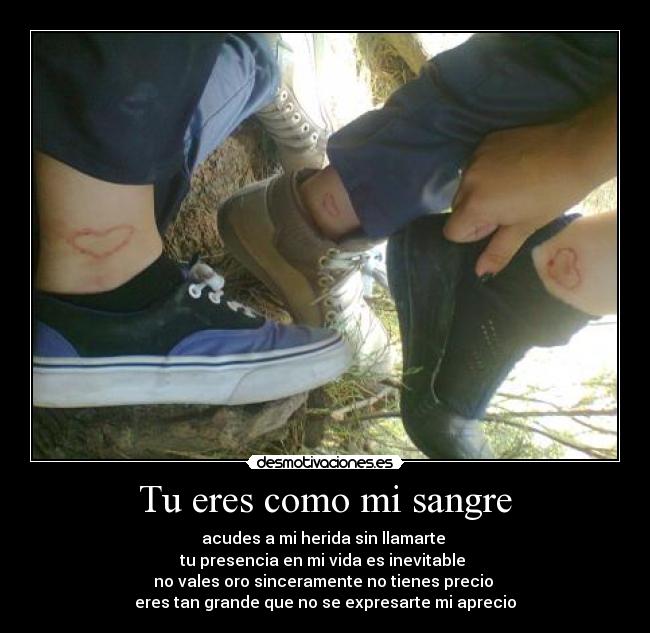 Tu eres como mi sangre - acudes a mi herida sin llamarte
tu presencia en mi vida es inevitable
no vales oro sinceramente no tienes precio
eres tan grande que no se expresarte mi aprecio