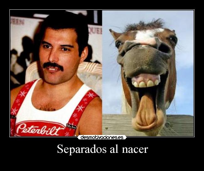 Separados al nacer - 