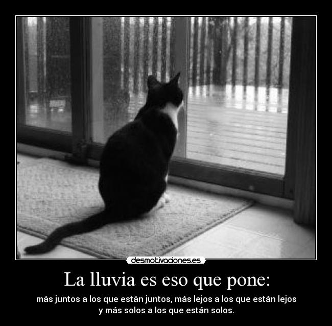 La lluvia es eso que pone: - más juntos a los que están juntos, más lejos a los que están lejos
y más solos a los que están solos.