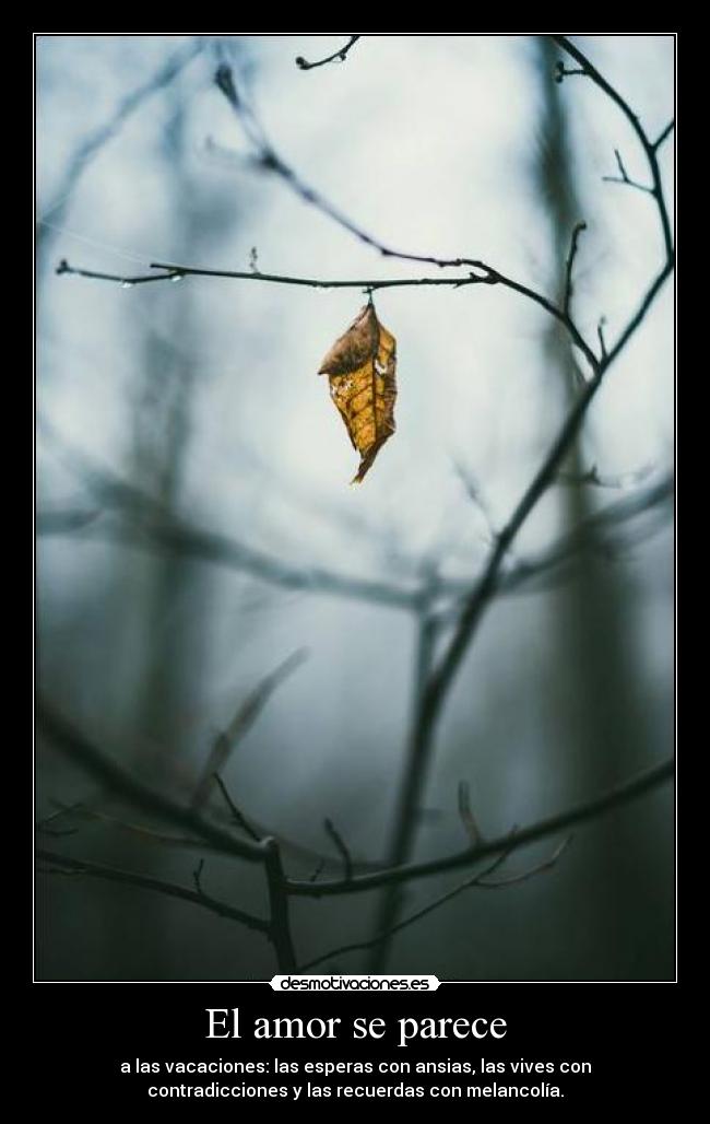 El amor se parece - a las vacaciones: las esperas con ansias, las vives con
contradicciones y las recuerdas con melancolía.
