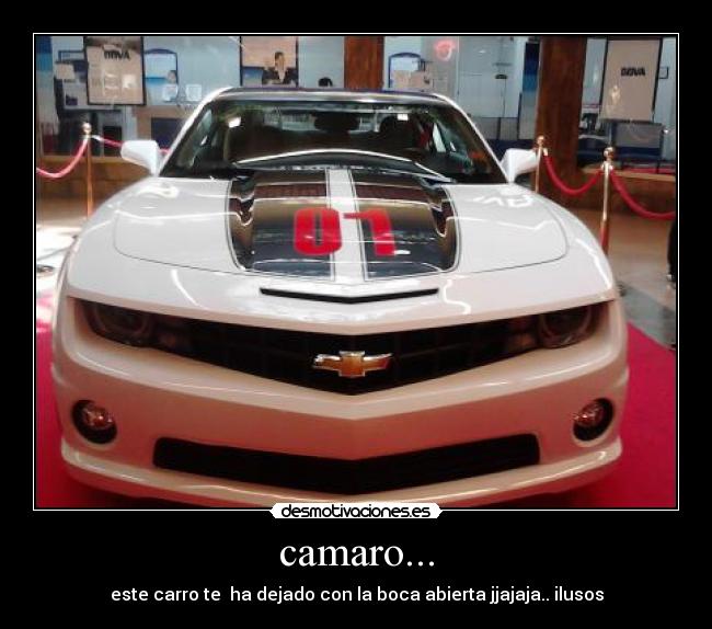 carteles carros desmotivaciones