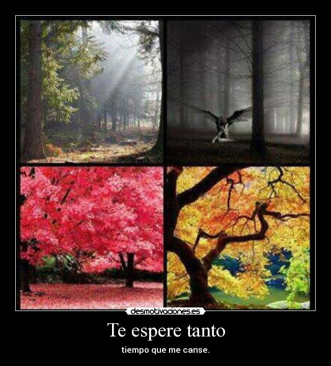 carteles cansar desmotivaciones