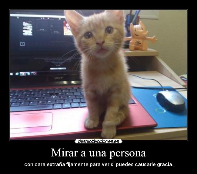 Mirar a una persona - con cara extraña fijamente para ver si puedes causarle gracia.