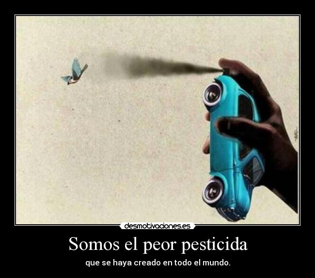 Somos el peor pesticida - que se haya creado en todo el mundo.