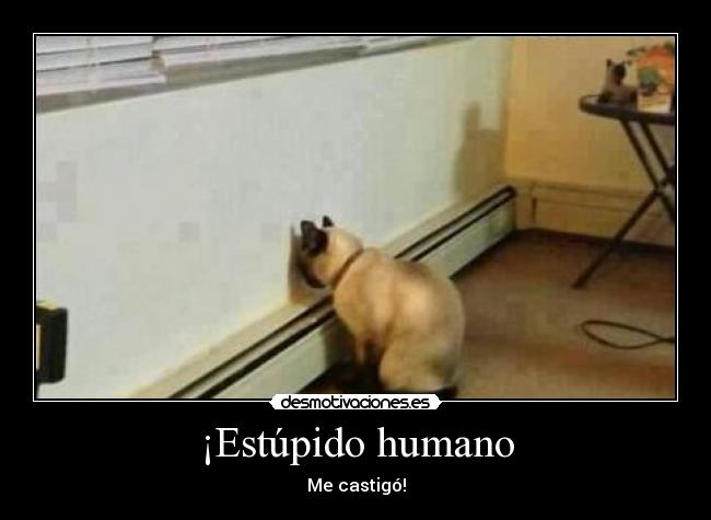 ¡Estúpido humano - Me castigó!