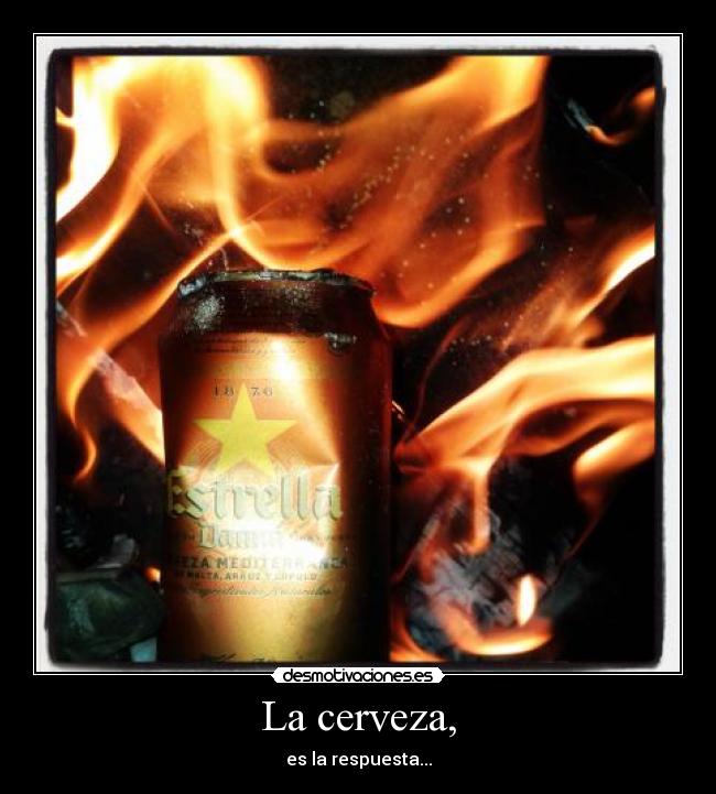 carteles cerveza desmotivaciones