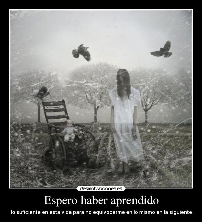Espero haber aprendido - lo suficiente en esta vida para no equivocarme en lo mismo en la siguiente