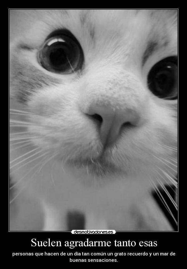 Suelen agradarme tanto esas - personas que hacen de un día tan común un grato recuerdo y un mar de
buenas sensaciones.