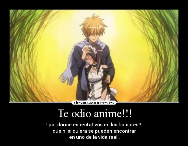 Te odio anime!!! -