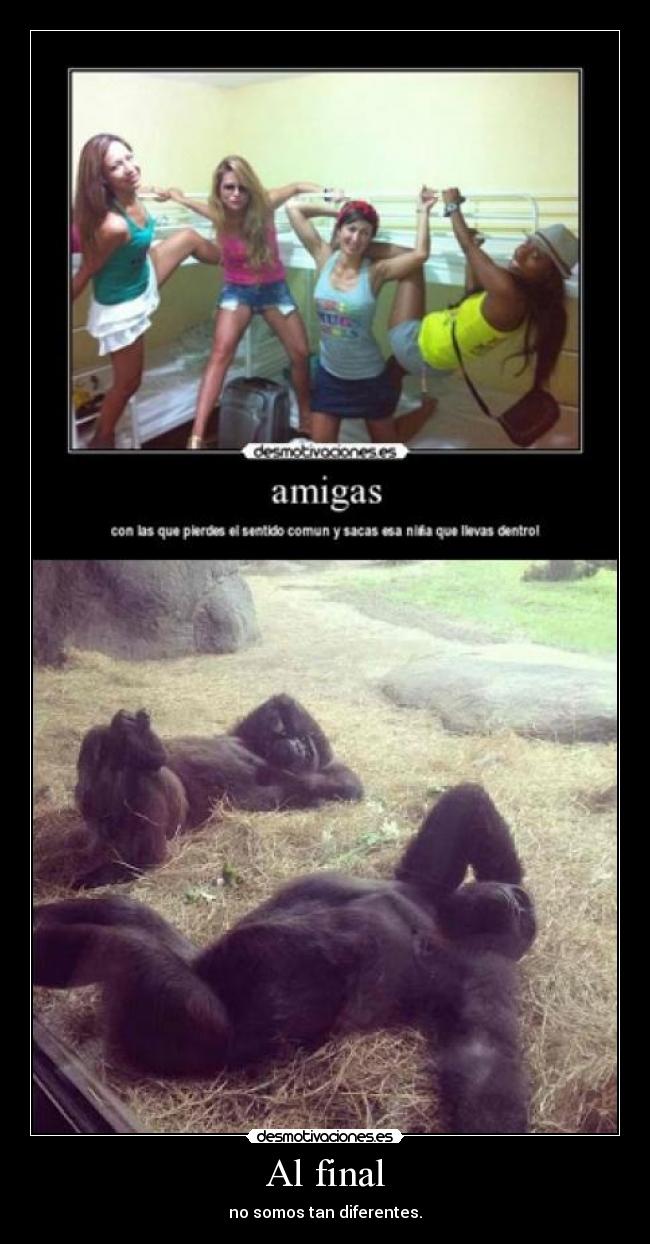 carteles blackdead desmofunny desmotivaciones