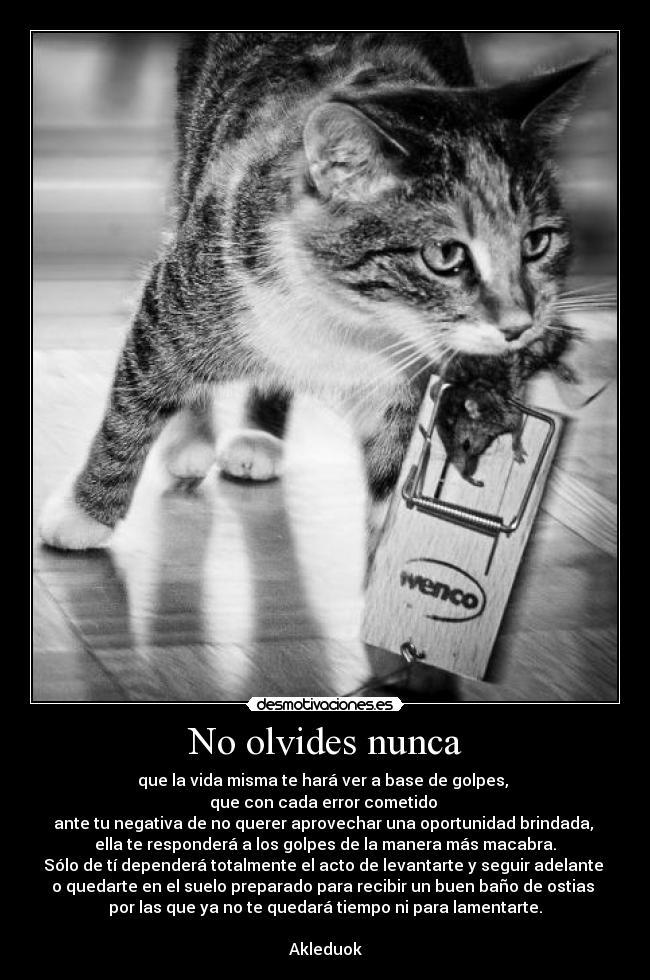 carteles akleduok putain verite provisoire desmotivaciones