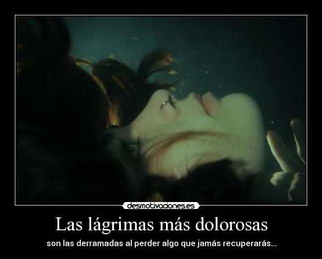 carteles duele lagrimas nolopuedesrecuperar twitterlau6116 desmotivaciones