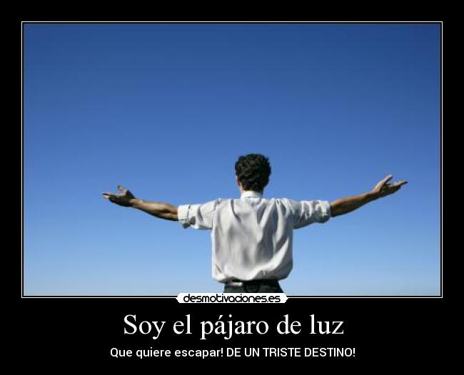 Soy el pájaro de luz -