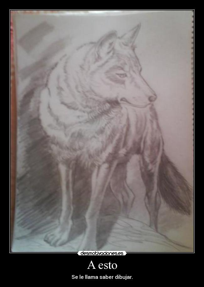 carteles dibujos desmotivaciones