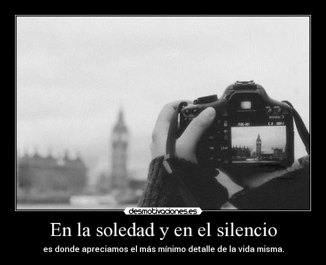 En la soledad y en el silencio - es donde apreciamos el más mínimo detalle de la vida misma.