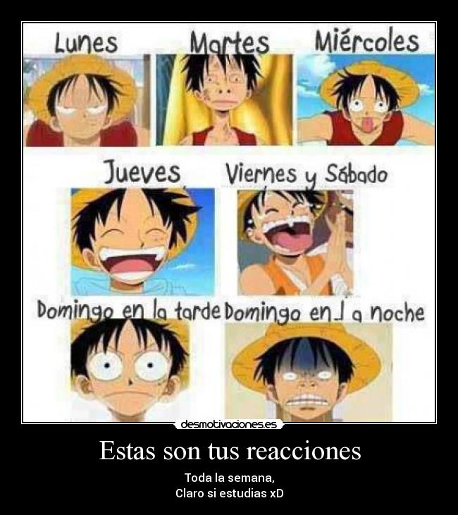 Estas son tus reacciones - Toda la semana,
Claro si estudias xD